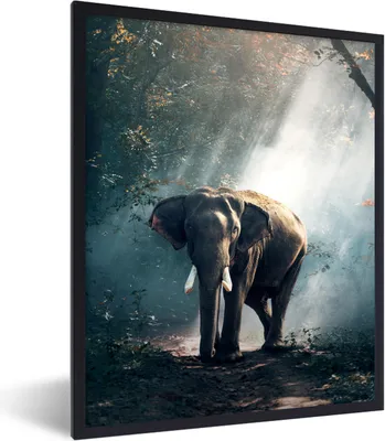 Produktbild von MuchoWow® Gerahmtes Poster Elefant - Tiere - Licht - Wald - Natur - Wildtiere 30x40 cm - Poster mit Schwarzem Bilderrahmen Wandposter Rahmen Foto Bilder - Wanddeko - Kunstdrucke