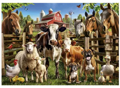 Obrázek produktu pro Bauernhof Buddies puzzle 500ks