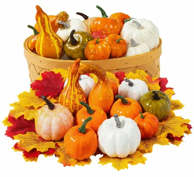 86-teiliges Kunstpumpen-Set, Herbstdeko, Kürbisse, Ahornblätter