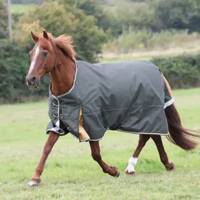 Image de Highlander Plus - Couverture de cheval standard ER1627 (183cm) (Vert)