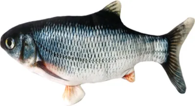 Produktbild von Elektrische Fische Katze,katzenminze FischSpielzeug,Simulation Fisch,elektrische Fische plüsch,Katze interaktive Fisch@#Karpfen