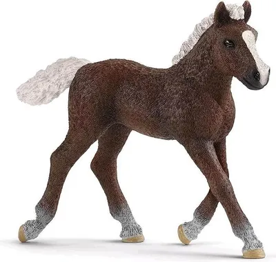 Produktbild von Schleich -  Schwarzwälder Fohlen