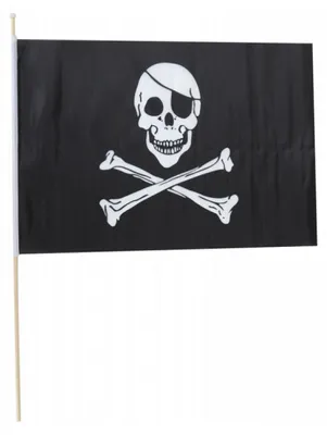 Immagine prodotto di PartyPro Bandiera dei pirati 45 cm x 30 cm