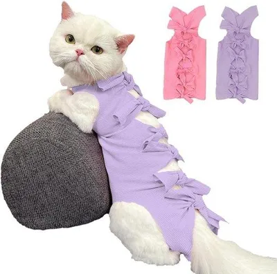 Immagine prodotto di Set per la cura dei gatti - 2 capi di abbigliamento post-operatorio per gatti: tuta morbida, anti-leccata per ferite all'addome e malattie della pelle