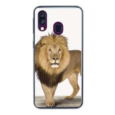 Produktbild von MuchoWow® Handyhülle Schutzhülle Hülle für Samsung Galaxy A40 Jungen - Löwe - Tiere - Kinder - Mädchen Silikon Softcase Handy Hülle - Handy-Tasche