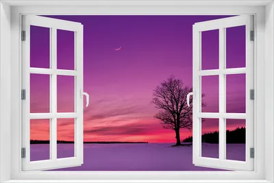 Produktbild von Wallario Poster mit Fenster-Illusion: Mond und Baum am Abend bei Schnee, Größe: 61 x 91,5 cm (Maxiposter)