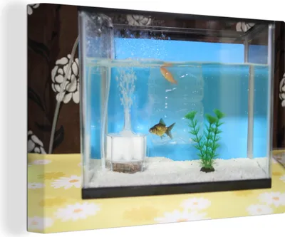 Obrázek produktu pro OneMillionCanvasses® Malba na plátně Nástěnná malba na plátně - Dvě ryby v akváriu - 150x100cm