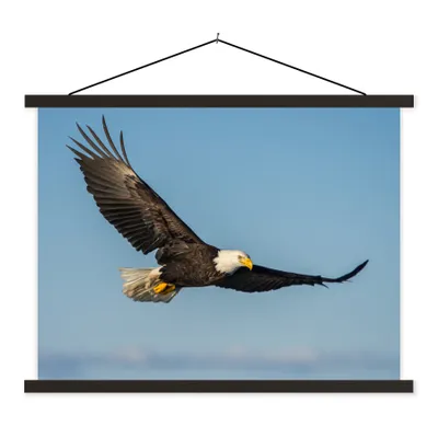 Produktbild von MuchoWow® Textilposter Vogel - Adler - Raubvögel 40x30 cm mit schwarzem Rahmen - Dekorationen