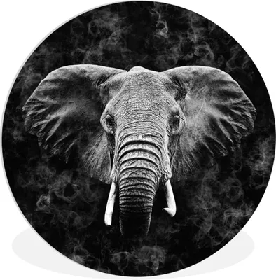 Produktbild von MuchoWow® Rundes Wandbild - Runde Bilder Elefant - Tiere - Rauchen - Schwarz - Weiß Ø 30 cm Kreis Wanddekoration Kunststoff - Wandkreis - Wandschmuck - Schlafzimmer - Bilder - Der Kreis - Kunst für die Wohnung - Plastik - Kunstdruck - Wandbild