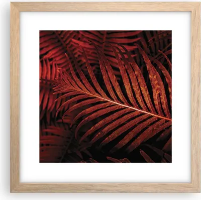 Produktbild von Gerahmtes Poster - Rahmen in heller Eiche - Rot Blätter Palmen - 30x30 cm - Wand Bild - Wanddeko - Wandbilder - Kunstposter - Wandposter - Bilderrahmen - Bilder - Kunstdruck - P2NAC30x30-4816