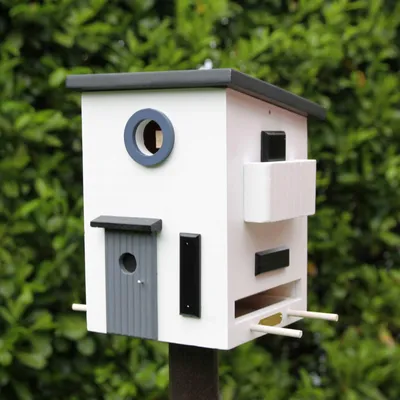 Productafbeelding van Wildlife Garden WG108 Multifunctionele vogelhuis Bauhaus - Een combinatie van vogelhuis en nestkast, gemaakt van hout