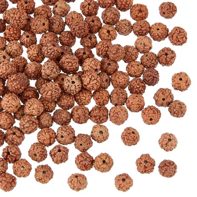 150er Set Rudraksha Holzperlen 6mm rund für DIY Schmuck