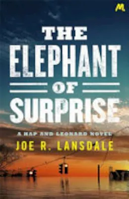 Productafbeelding van The Elephant of Surprise