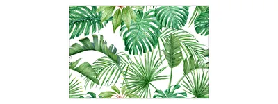 Zdjęcie produktu dla Fototapeta Liście Monstera Zielone Tropikalne Egzotyczna Dekoracja do Salonu z Modnym Efektem 3D 150 x 225