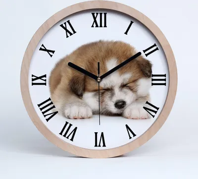 Produktbild von Holzuhr 20fi cm wanduhr - schwarze Spitzen - akita Welpen