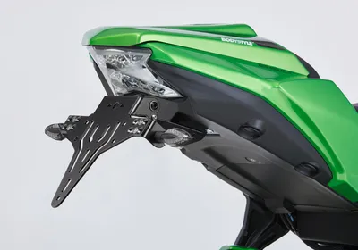 Imagen del producto de Soportes para matrículas PROTECH, compatibles con los modelos Z650 y ER650H