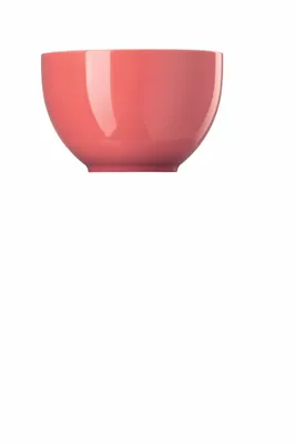 Zdjęcie produktu dla Thomas Müslischale Sunny Day Soft Red Porzellan Rot 10850-408601-15456