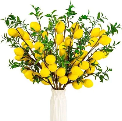 Immagine prodotto di Spremiagrumi automatico - Facile da pulire - Monoblocco - Giallo