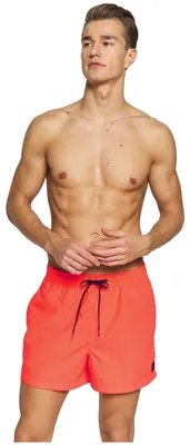 Image de Maillot de bain Quiksilver Traje de baño QUIKSILVER Everyday Volley 15 pour Homme
