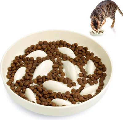 Image de Gamelle lente Antidérapante Anti-glissement pour chats et petits chiens 16 cm x 16 cm