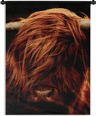 Produktbild von MuchoWow® Wandteppich Wandbehang Schottischer Highlander - Kuh - Hörner - Porträt - Tiere 60x80 cm Tapisserie Dekoration Wandtuch - Decke - Wandtücher - Wohne