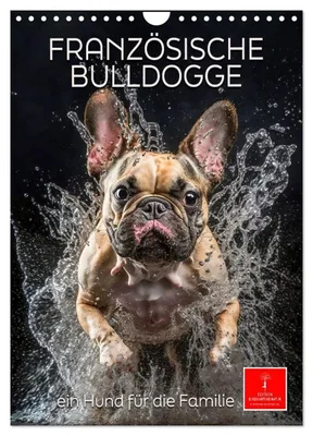 Produktbild von Französische Bulldogge - ein Hund für die Familie (Wandkalender 2027 DIN A4 hoch), CALVENDO Monatskalender
