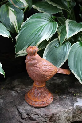 Produktbild von Gartenfigur Edelrost Zaunkönig II