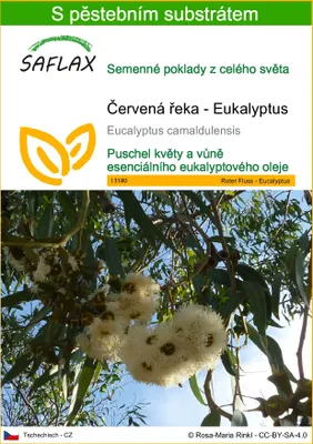 Obrázek produktu pro SAFLAX - Červená řeka - Eukalyptus - Eucalyptus camaldulensis - 200 Semena - S pěstebním substrátem bez klíčků