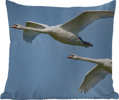 Produktbild von MuchoWow® Outdoor Kissen - Schwan - Vogel - Himmel - Blau - 50x50 cm - Wetterfest - Lounge Kissen - Komfortabel - Kissen mit Bild