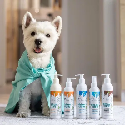 Image de Shampoing revitalisant VETEXPERT Detox Care pour chiens et chats 250 ml
