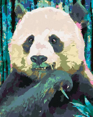 Obrázok produktu pre Zuty - Maľovanie podľa čísel - FAREBNÁ PANDA, 40x50 cm, bez rámu a bez vypnutia plátna