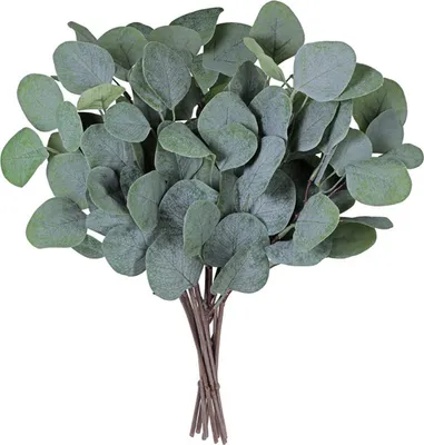 Produktbild von 20 Stück Eukalyptus Künstlich Pflanzen Deko Eukalyptus Pflanze für Hochzeit Garten Haus Büro Indoor Outdoor Dekoration(Grün)