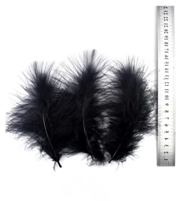 Produktbild von 20 Stück gefärbte schwarze Federn für Schmuck und Bastelarbeiten, 10–15 cm