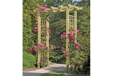 Produktbild von Eingangspergola 160x62x210 cm Garteneingang Holz Weinranke Rankhilfe Holzbogen Torbogen