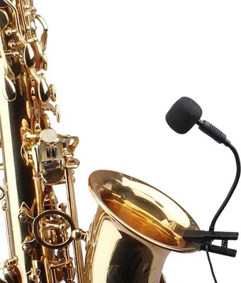 Immagine prodotto di Microfono a condensatore a collo d'oca AudioDesign PA MBR