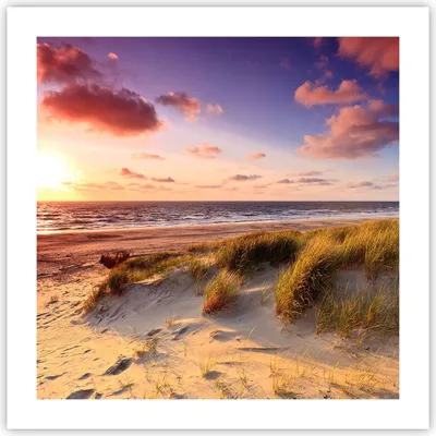 Produktbild von Poster - Poster ohne Rahmen - Meer Strand Düne - 50x50 cm - Wand Bild - Wanddeko - Wandbilder - Kunstposter - Wandposter - Bilder - Kunstdruck - Wanddekoration - Wandbild - P2XAC50x50-3540