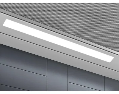 Image de Electrolux LFP616X Gris 600 m³/h