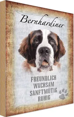 Produktbild von vianmo Holzschild 18x12 cm Bernhardiner Hund Tier Haustier