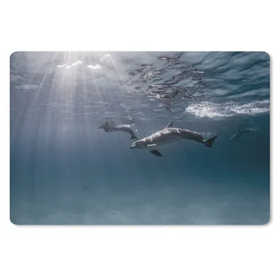 Produktbild von MuchoWow® Mauspad Mousepad Delfin - Sonne - Meer 27x18 cm - Mousepads - Maus Mat - Pad - Mausunterlage - Büroartikel - Desk Matten