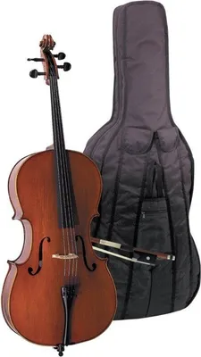 Image de Taille : 1/4