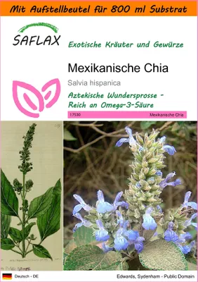 Produktbild von SAFLAX - Garden in the Bag - Kräuter - Mexikanische Chia - 500 Samen - Mit Anzuchtsubstrat im praktischen, selbst aufstellenden Beutel - Salvia hispanica