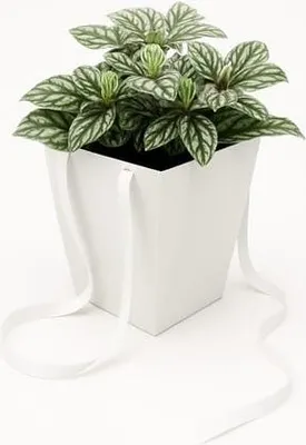 Zdjęcie produktu dla Torba Prestige Biała 125x125x180/165x165mm florystyczna na kwiaty
