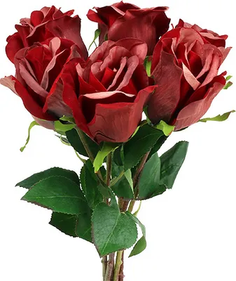 Produktbild von Samtrose Rot Künstliche Kunstblume Strauß 6er Ø8cm L45cm Dekoration, 6 Stück