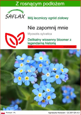 Zdjęcie produktu dla SAFLAX - Nie zapomnij mnie - 150 Nasiona - Z podłożem uprawowym wolnym od zarazków - Myosotis sylvatica