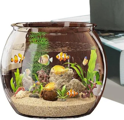 Produktbild von Famanu Mini-Aquarium Runde Form - Transparent - 21x16x17cm