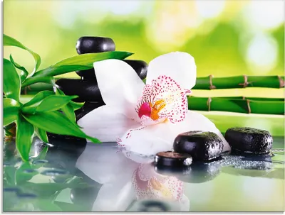 Produktbild von ARTland Glasbild Spa Steine Bambus Zweige Orchidee Größe: 60x45 cm