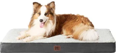 Image de Lit orthopédique pour chien XL 104 x 68 x 9 cm, lavable, moelleux, beige