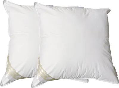 Produktbild von 2 Stück Betten Hofmann Basic Allergiker Kopfkissen Faserkissen 65x65 cm 600 g