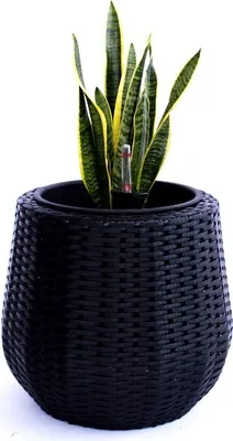 Produktbild von Elegant Einrichten | Pflanzkübel | Polyrattan | rund konisch | D35xH32cm | schwarz.