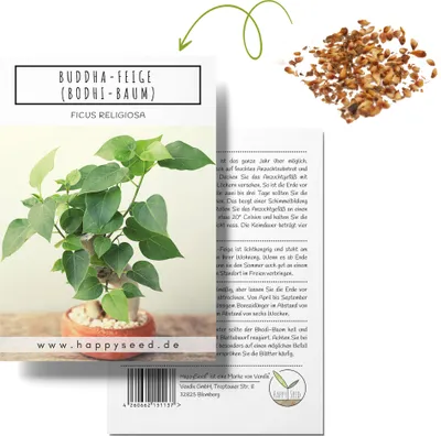 Produktbild von Einzigartige Bonsai Samen mit hoher Keimrate - Pflanzen Samen Set für deinen eigenen Bonsai Baum (1x Buddha-Feige)